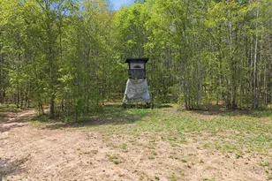 1601 Price Rd, Martin, GA 30557 - Photo 80