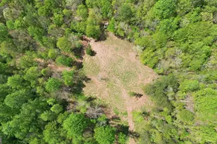 1601 Price Rd, Martin, GA 30557 - Photo 86