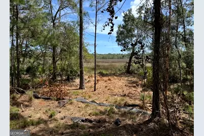 135 Beacon Pointe Parkway, Woodbine, GA 31569 - Photo 6