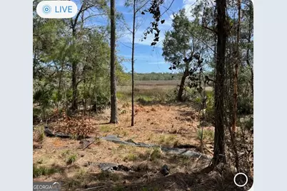 135 Beacon Pointe Parkway, Woodbine, GA 31569 - Photo 4