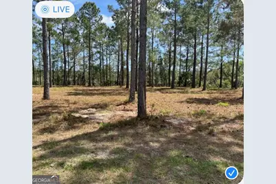 135 Beacon Pointe Parkway, Woodbine, GA 31569 - Photo 1