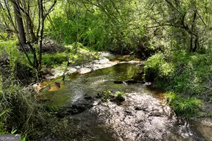 2640 Ben T Huiet Hwy, Clarkesville, GA 30523 - Photo 54