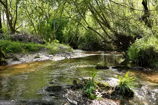 2640 Ben T Huiet Hwy, Clarkesville, GA 30523 - Photo 50