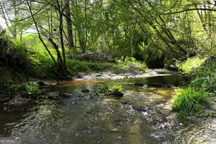 2640 Ben T Huiet Hwy, Clarkesville, GA 30523 - Photo 48