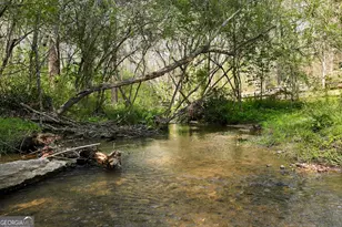 2640 Ben T Huiet Hwy, Clarkesville, GA 30523 - Photo 44