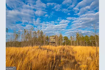 0 Smith Rocky Branch Road, Carlton, GA 30627 - Photo 1