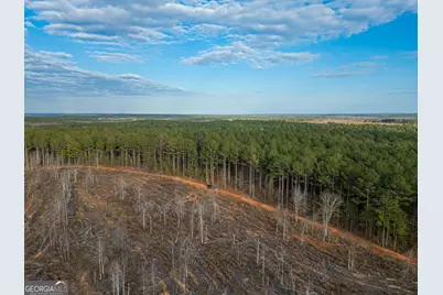 0 Smith Rocky Branch Road, Carlton, GA 30627 - Photo 4