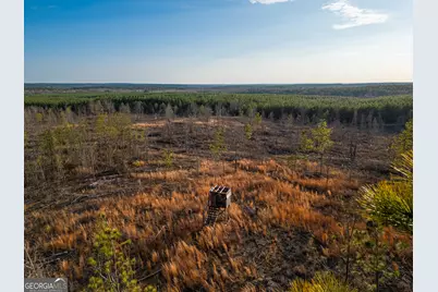 0 Smith Rocky Branch Road, Carlton, GA 30627 - Photo 6