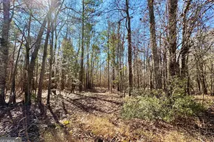 1 Cross Cedar Rd, Wrightsville, GA 31096 - Photo 1