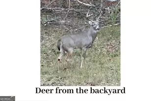 180 Lockwood Rd, Fayetteville, GA 30215 - Photo 54