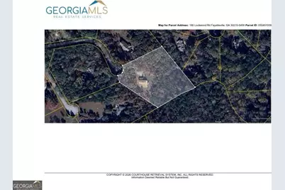 180 Lockwood Road, Fayetteville, GA 30215 - Photo 58