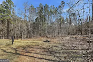 180 Lockwood Rd, Fayetteville, GA 30215 - Photo 46