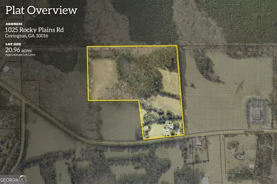 1025 Rocky Plains Road, Covington, GA 30016 - Photo 16