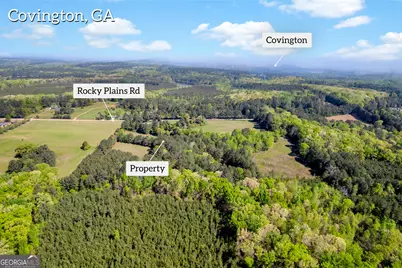 1025 Rocky Plains Road, Covington, GA 30016 - Photo 4