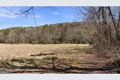 4034 Piedmont Orchard Road, Clarkesville, GA 30523 - Photo 58