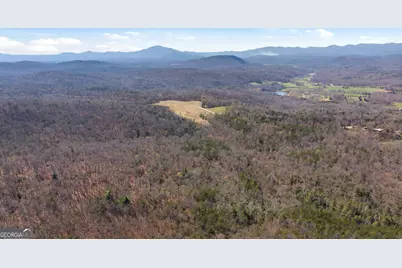 4034 Piedmont Orchard Road, Clarkesville, GA 30523 - Photo 48