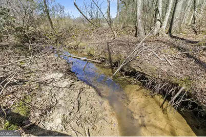 4034 Piedmont Orchard Road, Clarkesville, GA 30523 - Photo 12