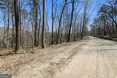 4034 Piedmont Orchard Road, Clarkesville, GA 30523 - Photo 68