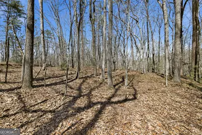 4034 Piedmont Orchard Road, Clarkesville, GA 30523 - Photo 66