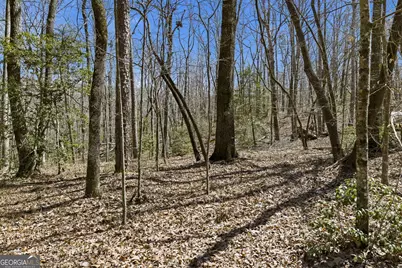 4034 Piedmont Orchard Road, Clarkesville, GA 30523 - Photo 64