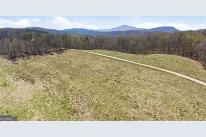 4034 Piedmont Orchard Road, Clarkesville, GA 30523 - Photo 56