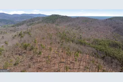 4034 Piedmont Orchard Road, Clarkesville, GA 30523 - Photo 34