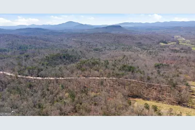 4034 Piedmont Orchard Road, Clarkesville, GA 30523 - Photo 28