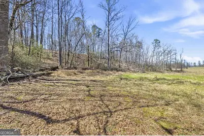 4034 Piedmont Orchard Road, Clarkesville, GA 30523 - Photo 4