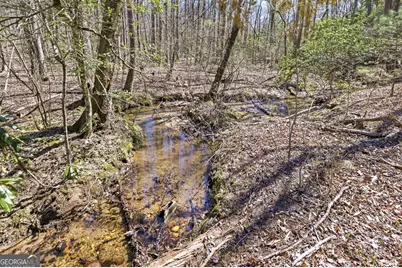 4034 Piedmont Orchard Road, Clarkesville, GA 30523 - Photo 10