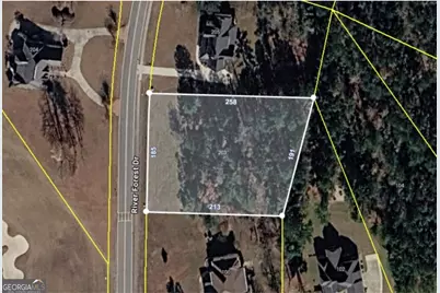 203 River Forest Drive, Forsyth, GA 31029 - Photo 1