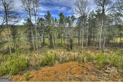139 Cedar Lane, Blairsville, GA 30512 - Photo 6