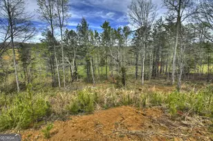 139 Cedar Ln, Blairsville, GA 30512 - Photo 6