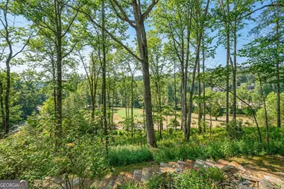 1259 Birch River Drive, Dahlonega, GA 30533 - Photo 44