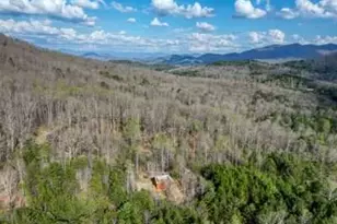 315 Hidden Branch Dr, Young Harris, GA 30582 - Photo 40