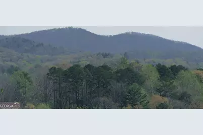 210 Canal Lake Road, Blairsville, GA 30512 - Photo 78