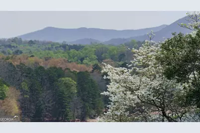 210 Canal Lake Road, Blairsville, GA 30512 - Photo 76