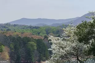 210 Canal Lake Rd, Blairsville, GA 30512 - Photo 76