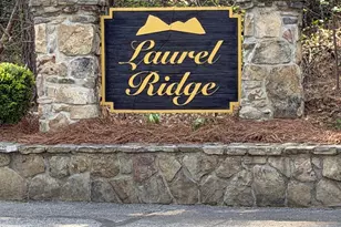 552 Long Laurel Ridge 6 65 Acres, Lakemont, GA 30552 - Photo 1