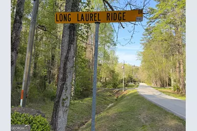 552 Long Laurel Ridge 6.65 Acres #LOT 2, Lakemont, GA 30552 - Photo 8