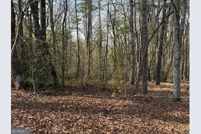 552 Long Laurel Ridge #6.65 ACRES, Lakemont, GA 30552 - Photo 1