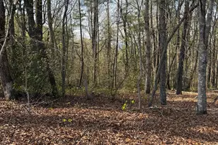 552 Long Laurel Ridge 6 65 Acres, Lakemont, GA 30552 - Photo 1