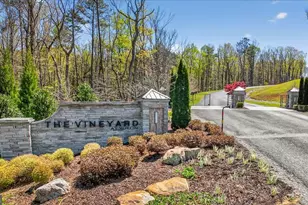 0 Twisted Oak Rd, Talking Rock, GA 30175 - Photo 1