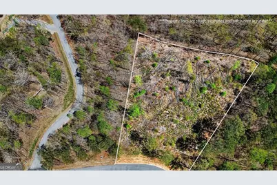 0 Twisted Oak Road #LOT 440, Talking Rock, GA 30175 - Photo 6