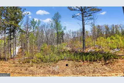 0 Twisted Oak Road, Talking Rock, GA 30175 - Photo 4