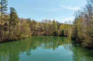 942 Granny Branch Drive, Blue Ridge, GA 30513 - Photo 2