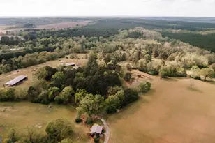 4424 Ansley Rd, Warrenton, GA 30828 - Photo 76