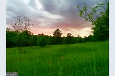 4424 Ansley Road, Warrenton, GA 30828 - Photo 54