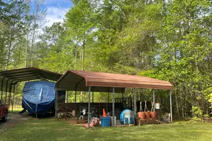 10291 Whitehouse Pkwy, Woodbury, GA 30293 - Photo 16