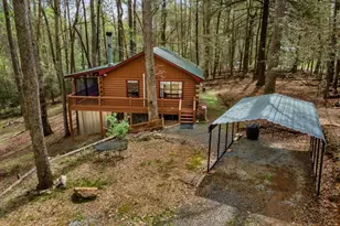 159 Pack Creek Rd, Blue Ridge, GA 30513 - Photo 4