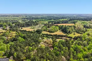 9120 Wilkerson Mill Rd, Chattahoochee Hills, GA 30268 - Photo 66